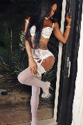 Foto Annunci Eros Adhara Trans D�sseldorf 004915212409124 - 63