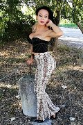 Foto Annunci Eros Adriana Paulett Trans 3891399263 - 32