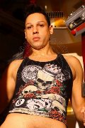 Foto Annunci Eros Alejandro El Toro Boy San Paolo 005511949066337 - 4