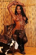 Foto Annunci Eros Alessandra Gatta Nera Trans Vercelli 3488811524 - 55