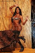 Foto Annunci Eros Alessandra La Gatta Nera Transescort Vercelli 3488811524 - 47