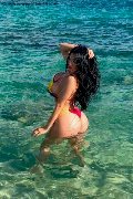Foto Annunci Eros Alessandra Xxii Transescort Gallarate 3317852006 - 41