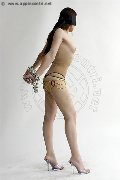 Foto Annunci Eros Ana Italiana Transescort Milano 3402666113 - 59