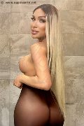 Foto Annunci Eros Angel Bunny Transescort Milano 3474642611 - 2