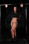 Foto Annunci Eros Angel Dark Girl Alessandria 3475535212 - 6