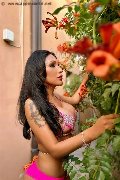 Foto Annunci Eros Anita Bellezza Esotica Trans Grosseto 3532044743 - 69