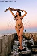 Foto Annunci Eros Anita Bellezza Esotica Transescort Grosseto 3532044743 - 42