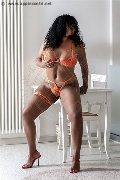 Foto Annunci Eros Anita Escort Pesaro 3667404557 - 1