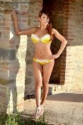 Foto Annunci Eros Ariadna D'alessandro Transescort Milano 3925046434 - 83