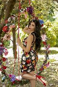 Foto Annunci Eros Ariadna Transescort Bologna 3887519396 - 74