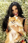 Foto Annunci Eros Ariadna Transescort Bologna 3887519396 - 76