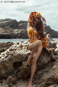 Foto Annunci Eros Ariel Transescort Parigi 0033605771121 - 43