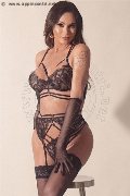 Foto Annunci Eros Bely Transescort Conegliano 3445717583 - 35