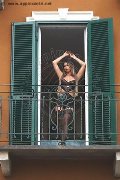 Foto Annunci Eros Bia Almeida Trans Verbania 3487642767 - 143