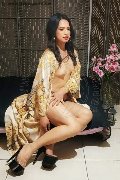 Foto Annunci Eros Biancaladyboy Transescort Pordenone 3932233064 - 37