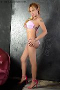 Foto Annunci Eros Brandy Transescort 3883860479 - 64