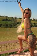 Foto Annunci Eros Bruna Xxl Trans Parma 3295914684 - 5