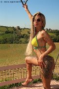 Foto Annunci Eros Bruna Xxl Transescort Parma 3295914684 - 6