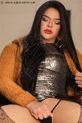 Foto Annunci Eros Bruna Xxl Travescort Grosseto 3445705092 - 3