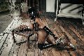 Foto Annunci Eros Campbell Transescort Padova 3933357541 - 150
