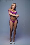 Foto Annunci Eros Carolina Lins Trans Bela Vista 005511914219146 - 2