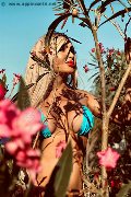 Foto Annunci Eros Chrystal Medeiros Pornostar Trans Roma 3898313619 - 38