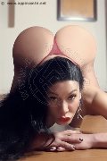 Foto Annunci Eros Clarissa Ribeiro Transescort Reggio Emilia 3802662801 - 35