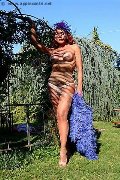 Foto Annunci Eros Claudia B. Trans Milano 3425725367 - 44
