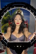 Foto Annunci Eros Desirre Trans Alessandria 3922832689 - 7