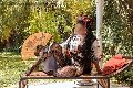 Foto Annunci Eros Diana Ferraz Trans Firenze 3271287566 - 91