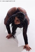 Foto Annunci Eros Erika Girl Avellino 3385964983 - 17