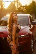Foto Annunci Eros Evelyn Girl Siena 3444491708 - 22