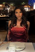 Foto Annunci Eros Gabriela Lemos Trans Verona 3932598874 - 22