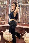 Foto Annunci Eros Gabriella Hott Escort Bergamo 3930121014 - 13