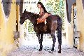 Foto Annunci Eros Gabriellaxxl Brasile Trans Milano 3292213799 - 69