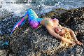 Foto Annunci Eros Gaja Transescort Ibiza 0034674836068 - 19