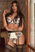 Foto Annunci Eros Graziella Farias Transescort Ospitaletto 3515874125 - 116