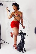 Foto Annunci Eros Graziella Farias Transescort Ospitaletto 3515874125 - 46