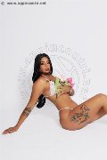 Foto Annunci Eros Ilary Dior Girl Catanzaro 3425761091 - 3