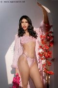 Foto Annunci Eros Jade Sexy Transescort Roma 00972559932098 - 12