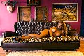 Foto Annunci Eros Jessica Aryani Transescort Brescia 3932507943 - 18