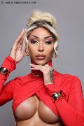 Foto Annunci Eros Karollayne Arruda Trans Milano 3277205075 - 41