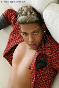 Foto Annunci Eros Kauan Berdinazzi Boy Dubai 3889026840 - 16
