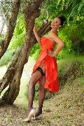 Foto Annunci Eros Keylla Marques Pornostar Xxl Transescort Fortaleza 3337112655 - 71
