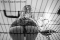 Foto Annunci Eros Lady Giuliette Mistress Verona 3486833721 - 16