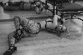 Foto Annunci Eros Lady Kika Doncato Mistresstrans Forl� 3937317905 - 6