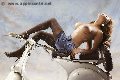 Foto Annunci Eros Liss Xxl Trans Olbia 3335067821 - 13