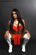 Foto Annunci Eros Loren Trans Pesaro 3890085359 - 17
