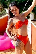 Foto Annunci Eros Luna Marks Pornostar Transescort Senigallia 3343717752 - 65