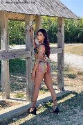 Foto Annunci Eros Marcella Ferari Transescort La Spezia 3899133383 - 22